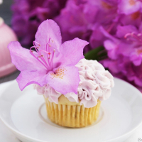 Blaubeer-Limette-Cupcakes